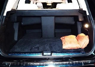 trunk mat