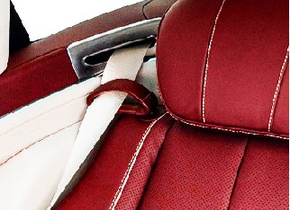 seat belt port