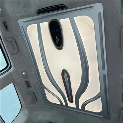 Auto-interieur Luxe daklichten
