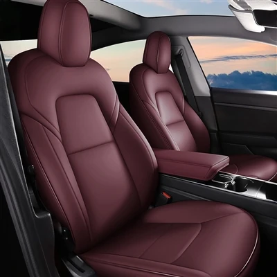 De eerste auto van een jongere zou een Tesla kunnen zijn